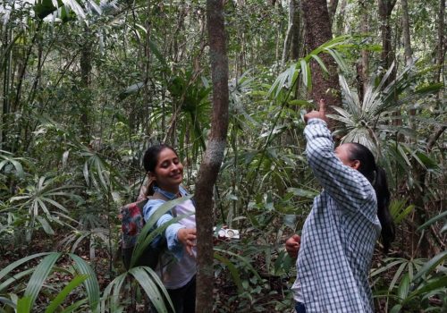 Bonos-jaguar-del-mayab-2025