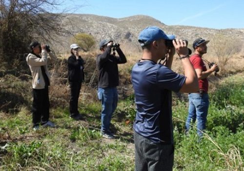 fondo-de-agua-de-la-laguna