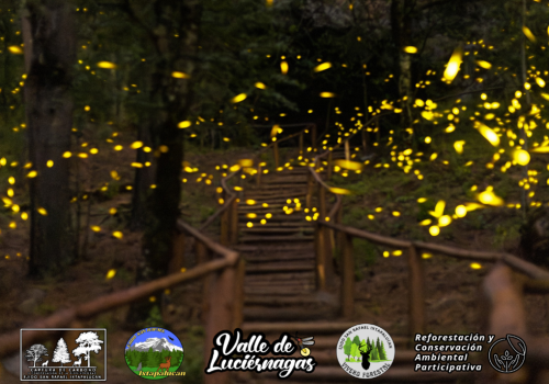 valle-de-licuernagas-2025